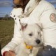 mi primer paseo